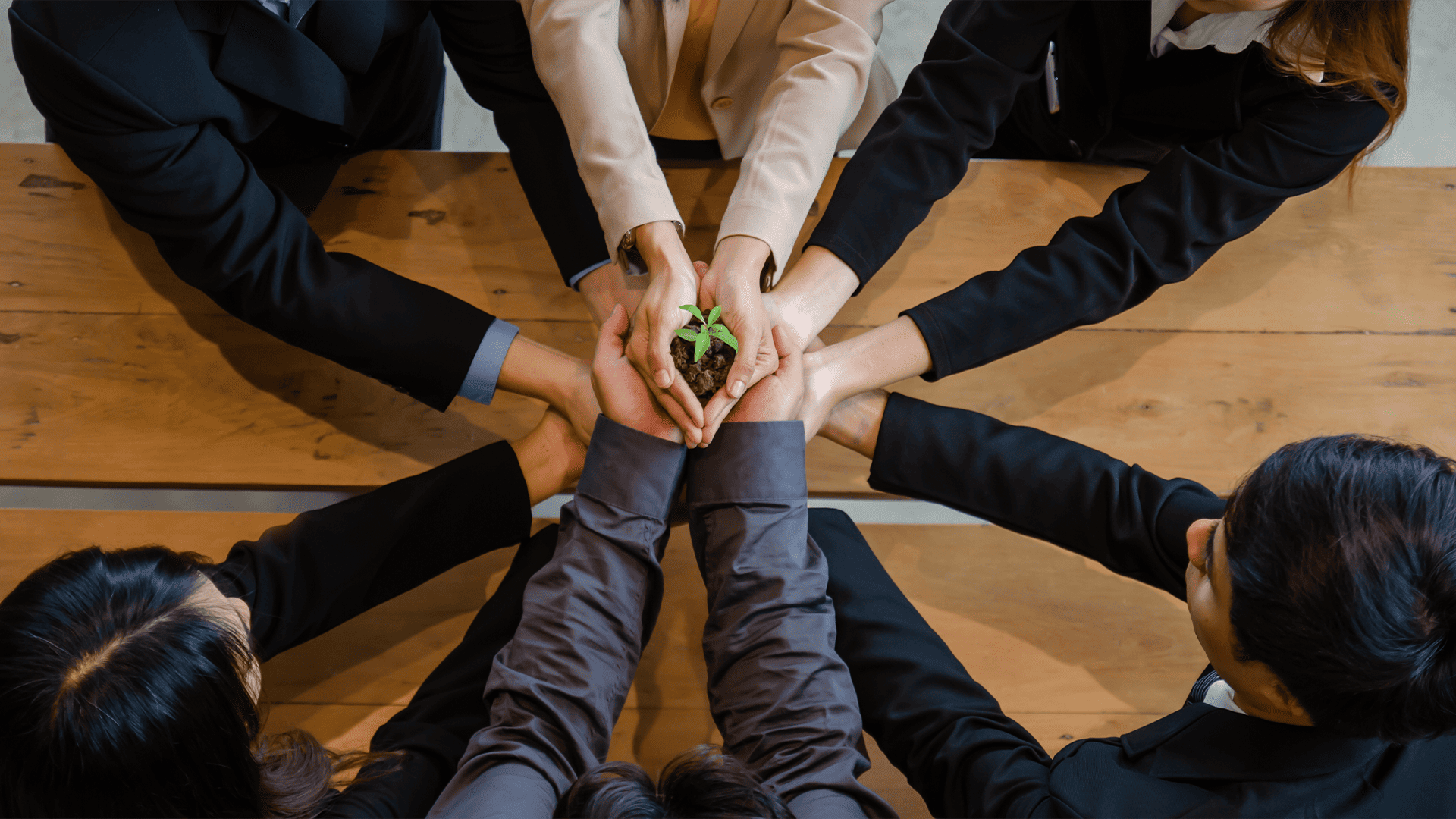 text.About Qimam Hamrin Company