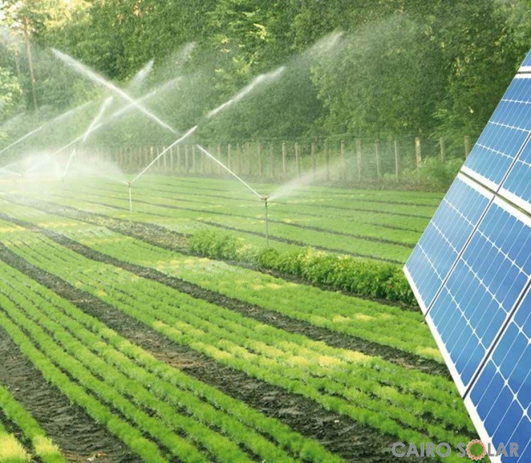 USING THE SOLAR ENERGY IN GREENHOUSES AND SPRINKLERS